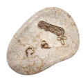 Natural Beige Marble Jewelry Tray Featuring Asymmetric Design