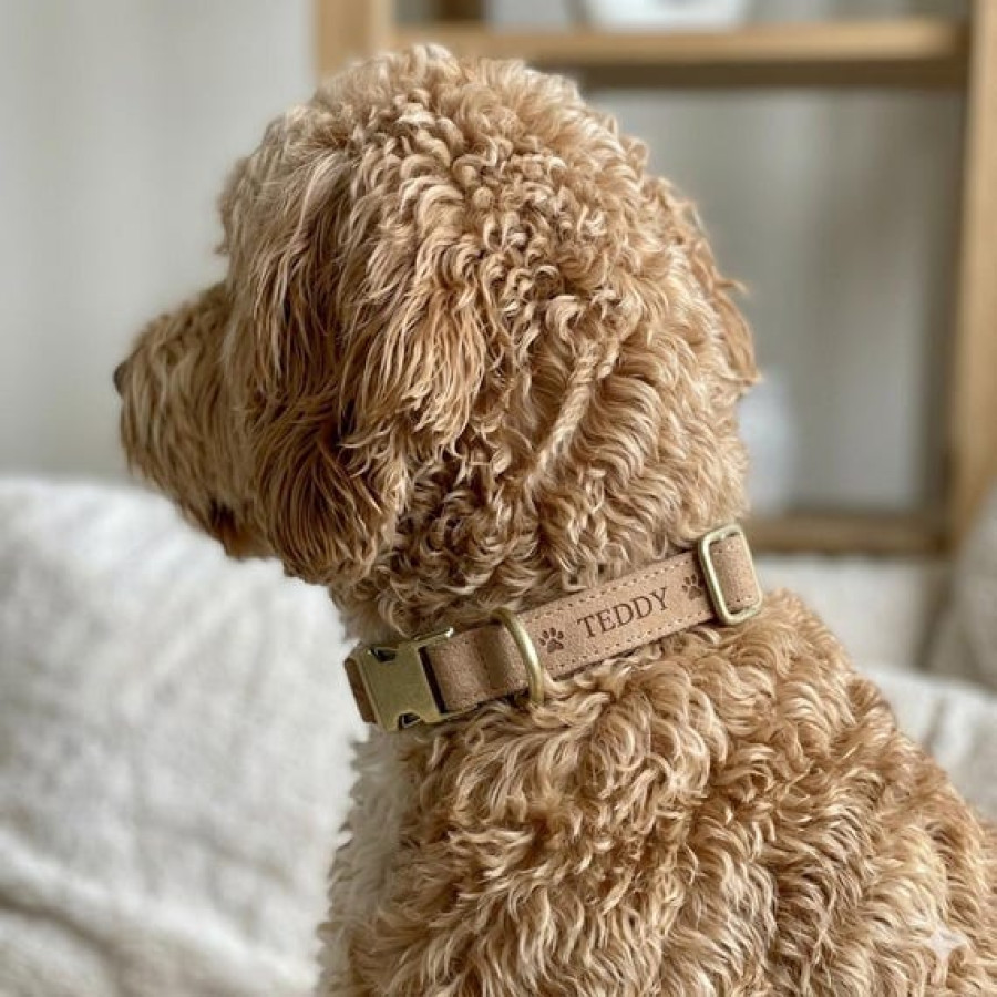 Customised Faux Leather Dog Collars | Various Sizes & Colours 2