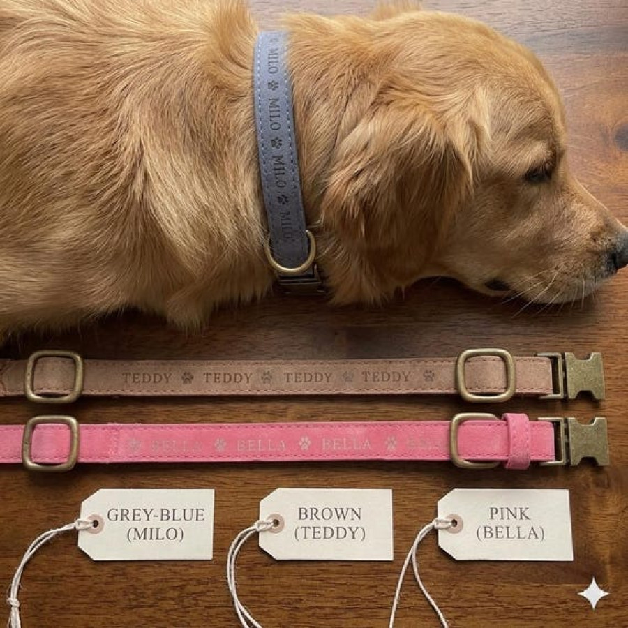 Customised Faux Leather Dog Collars | Various Sizes & Colours 4