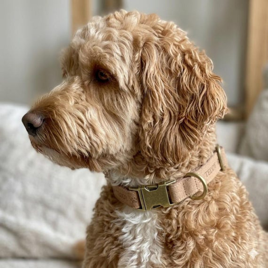 Customised Faux Leather Dog Collars | Various Sizes & Colours 6