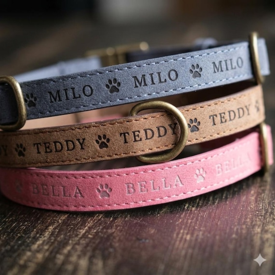 Customised Faux Leather Dog Collars | Various Sizes & Colours
