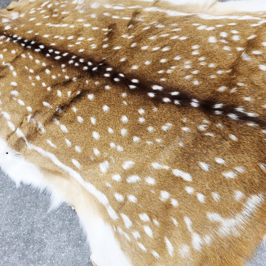 Premium Axis Deer Hide | Axis Deer Rug  | Axis Deer Throw | Axis Deer Pelt 3