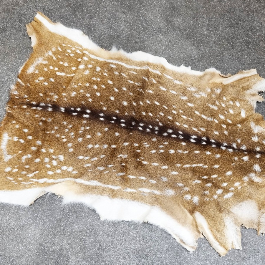 Premium Axis Deer Hide | Axis Deer Rug  | Axis Deer Throw | Axis Deer Pelt 4