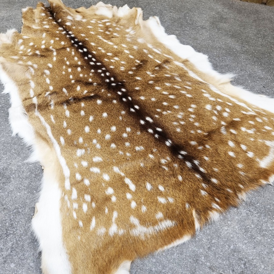 Premium Axis Deer Hide | Axis Deer Rug  | Axis Deer Throw | Axis Deer Pelt 6