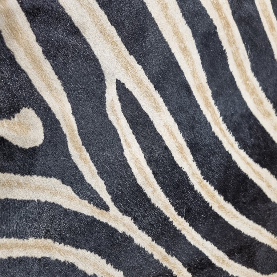 Cowhide rug | Cowhide stenciled with realistic zebra print pattern 9