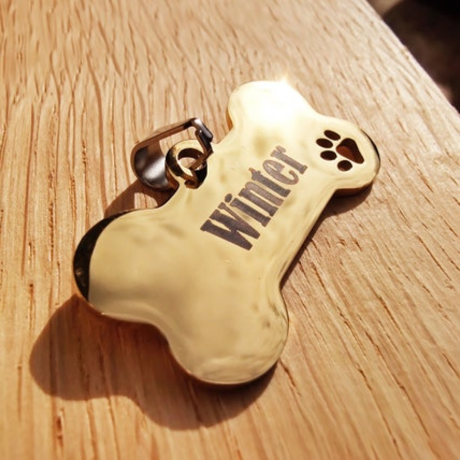 Engraved Steel Dog Bone Tag | Custom Pet ID 4