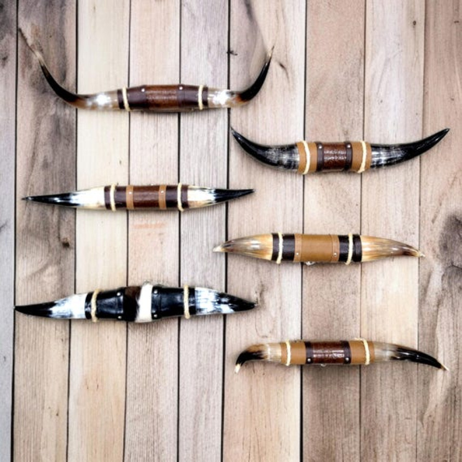 Genuine Bull Steer Horn Mount | Longhorn and Leather Mounted Wall Art | Western Decor 1