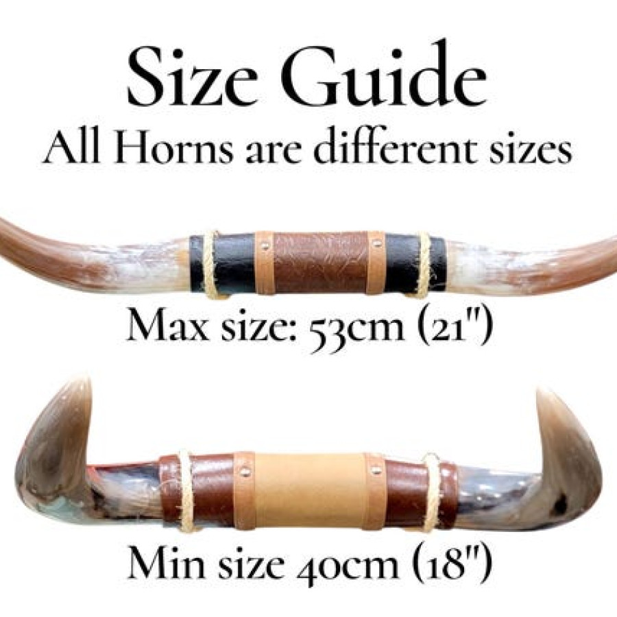 Genuine Bull Steer Horn Mount | Longhorn and Leather Mounted Wall Art | Western Decor 2