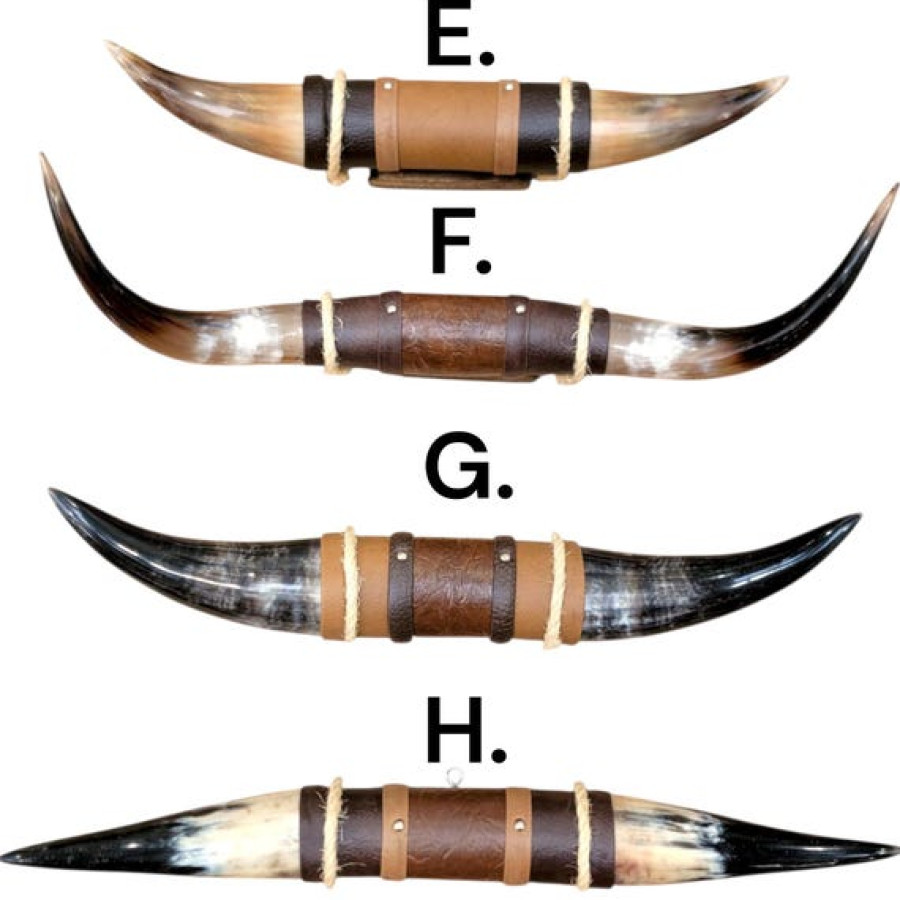 Genuine Bull Steer Horn Mount | Longhorn and Leather Mounted Wall Art | Western Decor 5