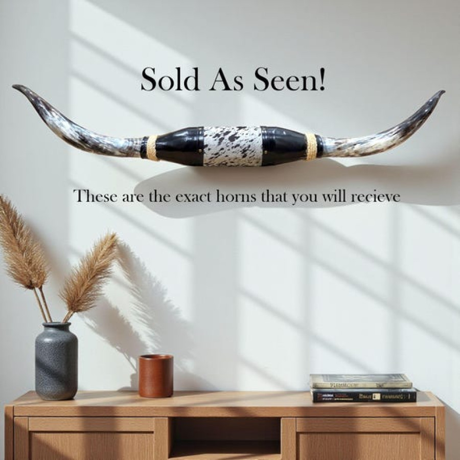 Large sized genuine bulls horn for wall mounting | Western decor 1