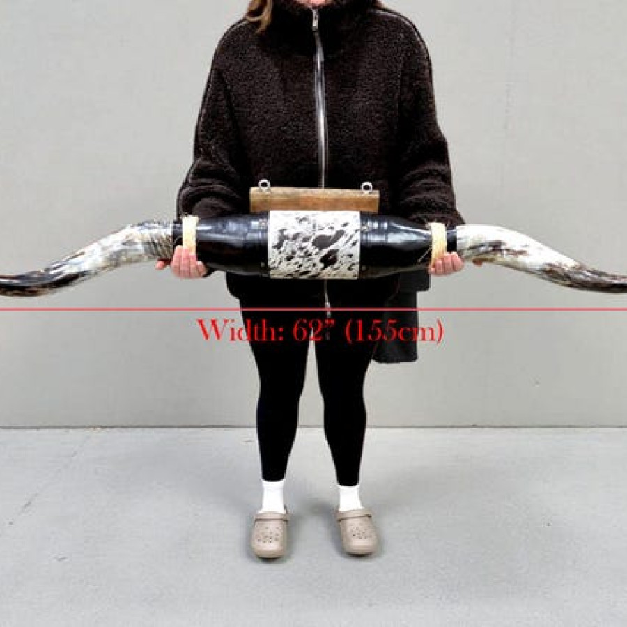 Large sized genuine bulls horn for wall mounting | Western decor 2