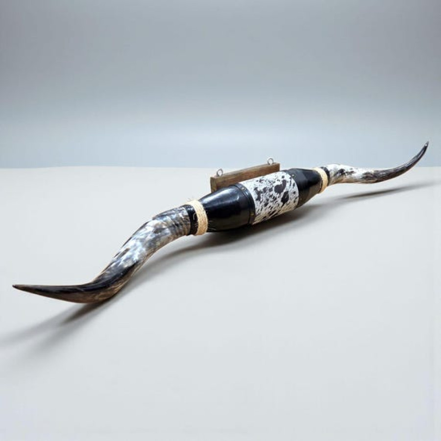 Large sized genuine bulls horn for wall mounting | Western decor 3