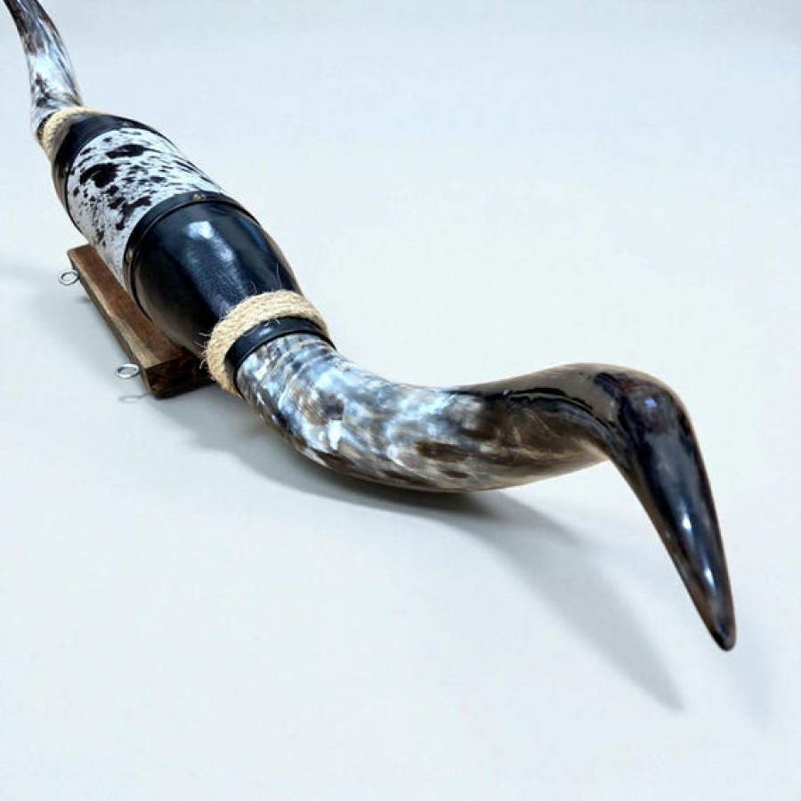 Large sized genuine bulls horn for wall mounting | Western decor 4