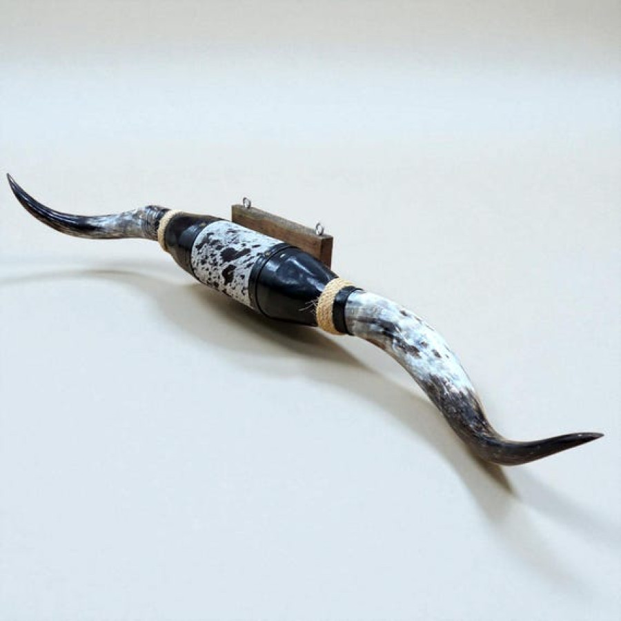 Large sized genuine bulls horn for wall mounting | Western decor 5
